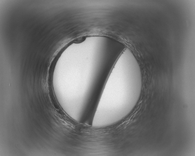 X0000062130292200512090958