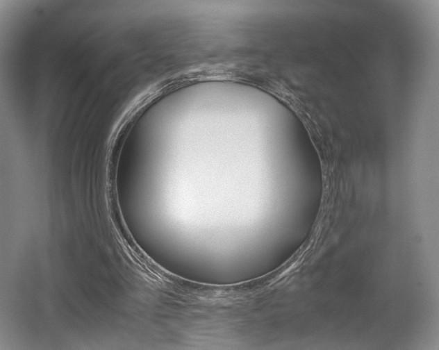 X0000062130293200512090958