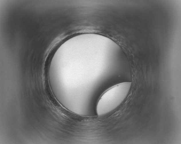 X0000062130296200512090958