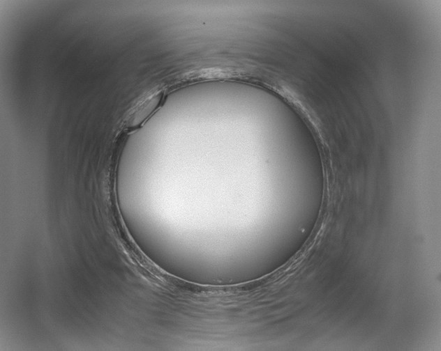 X0000062130297200512090958