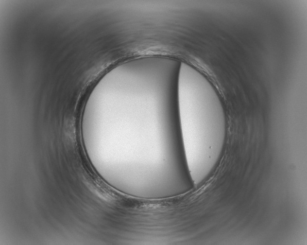 X0000062130298200512090958