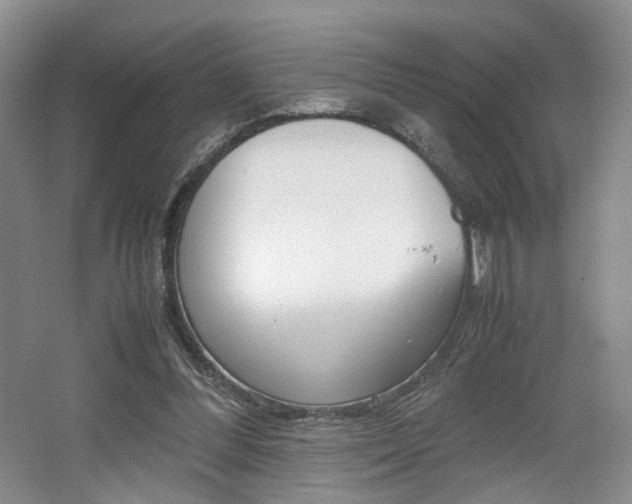 X0000062130300200512090958