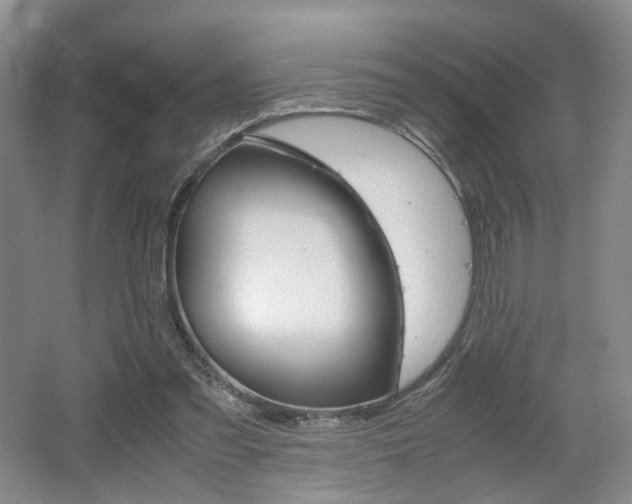 X0000062130301200512090958