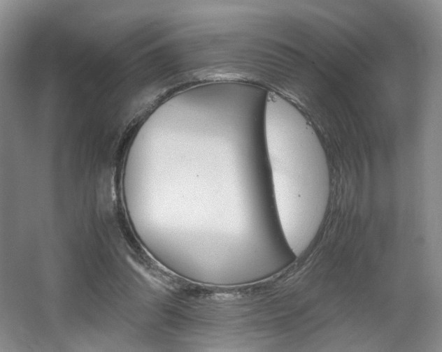 X0000062130302200512090958