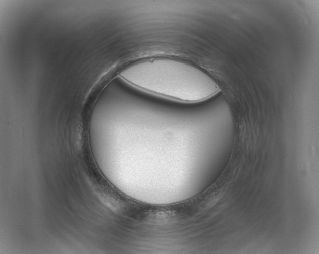 X0000062130304200512090958