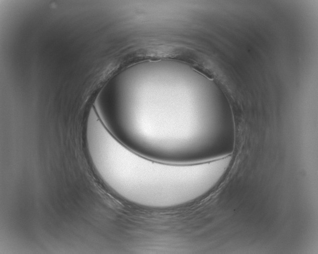 X0000062130305200512090958