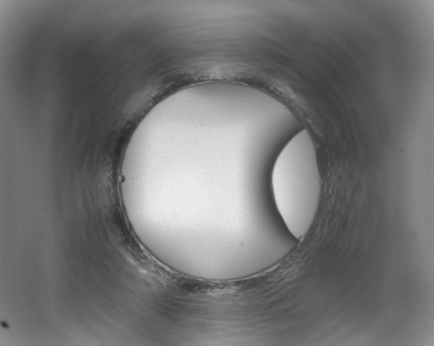 X0000062130306200512090958