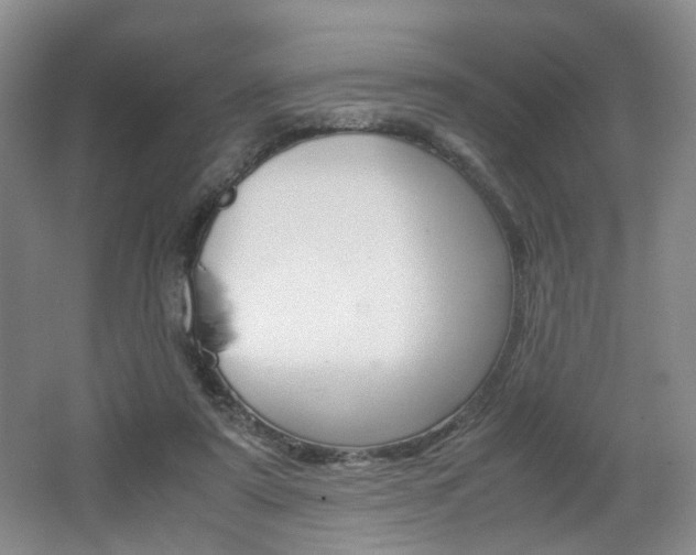 X0000062130307200512090958