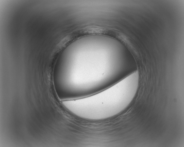 X0000062130309200512090957