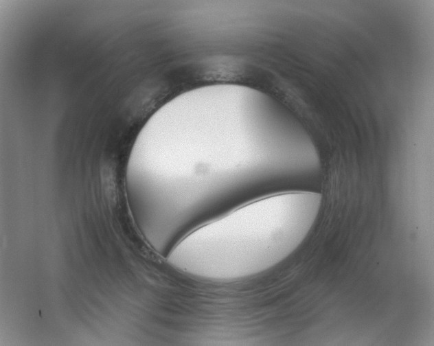 X0000062130312200512090957