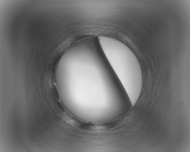 X0000062130313200512090957