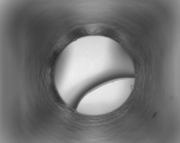 X0000062130319200512090957
