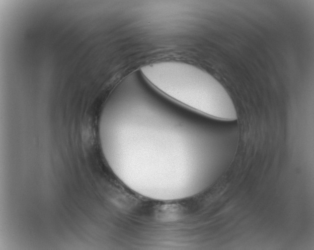 X0000062130324200512090957