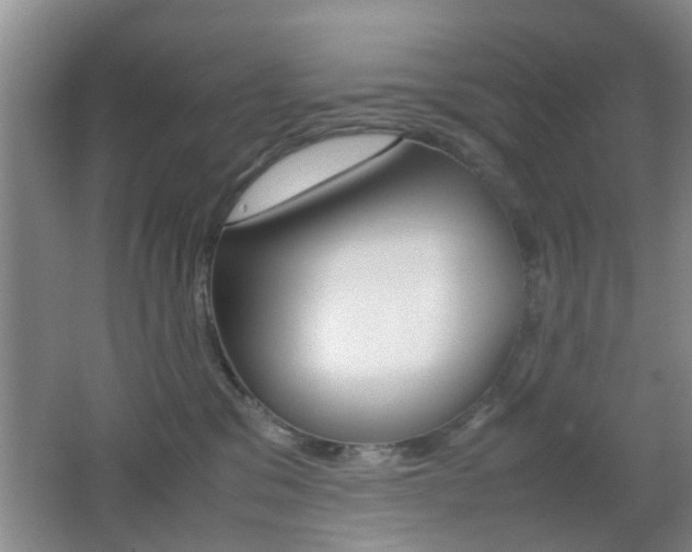 X0000062130329200512090957