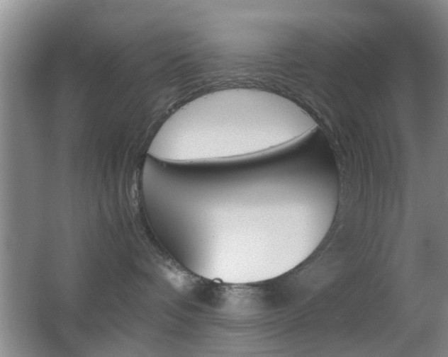 X0000062130336200512090957
