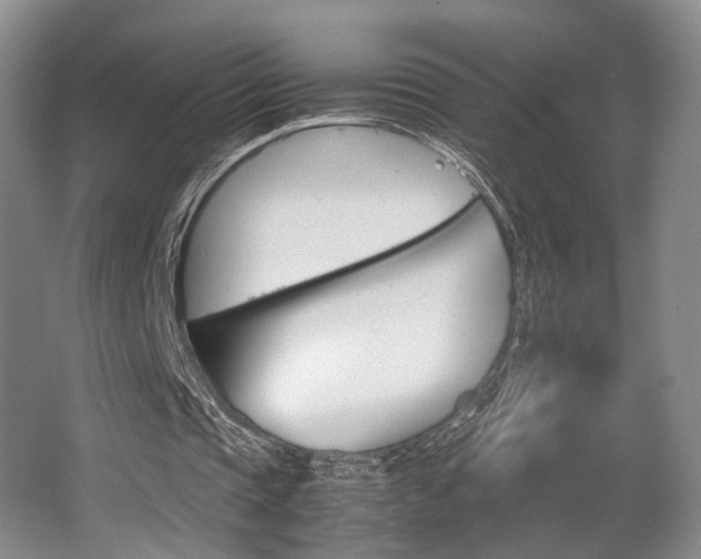 X0000062130337200512090956