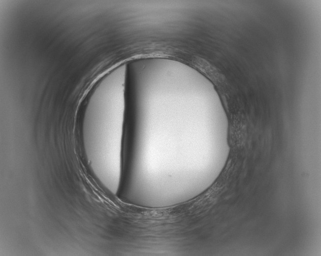 X0000062130338200512090956