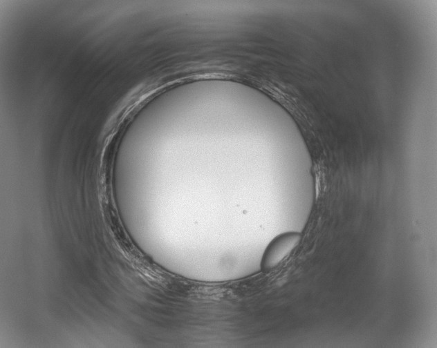 X0000062130339200512090956