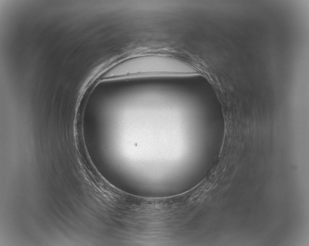 X0000062130340200512090956