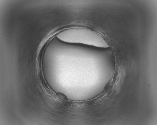 X0000062130343200512090956