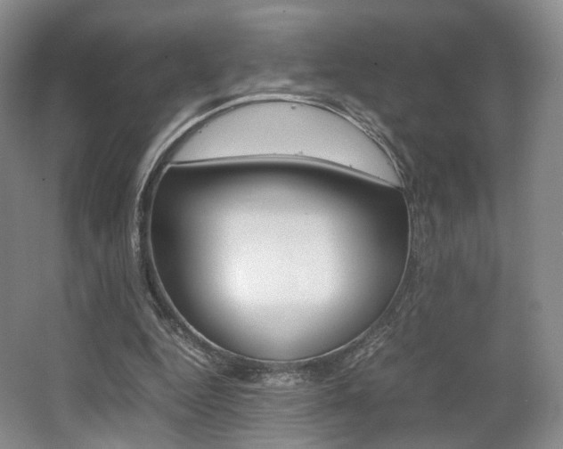 X0000062130344200512090956