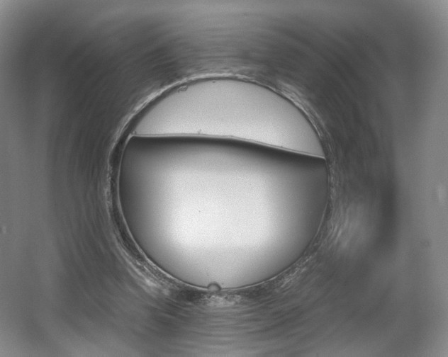 X0000062130346200512090956
