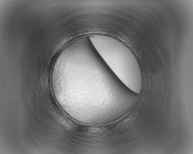 X0000062130347200512090956