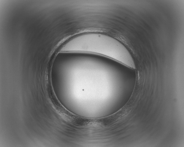 X0000062130348200512090956