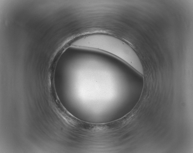 X0000062130350200512090956