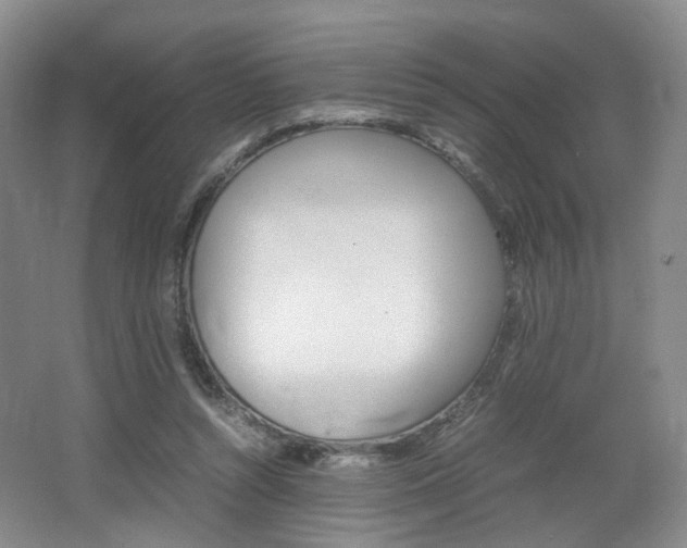 X0000062130352200512090956