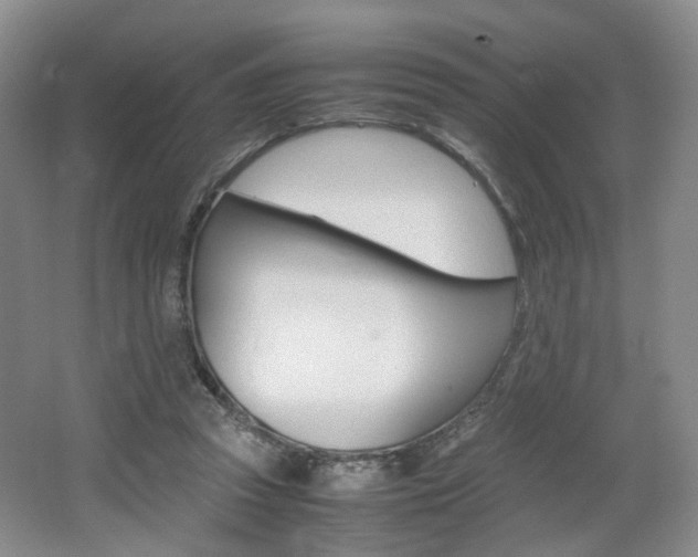 X0000062130353200512090956