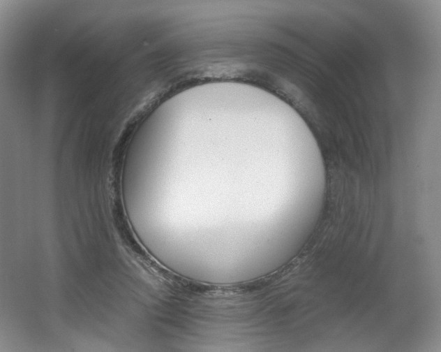 X0000062130354200512090957
