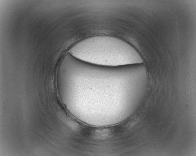 X0000062130357200512090957