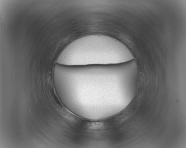 X0000062130361200512090957