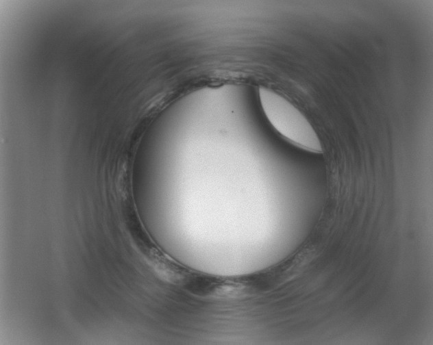 X0000062130364200512090957
