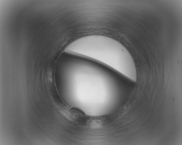 X0000062130368200512090957