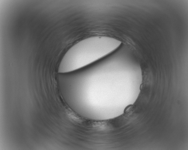 X0000062130377200512090957