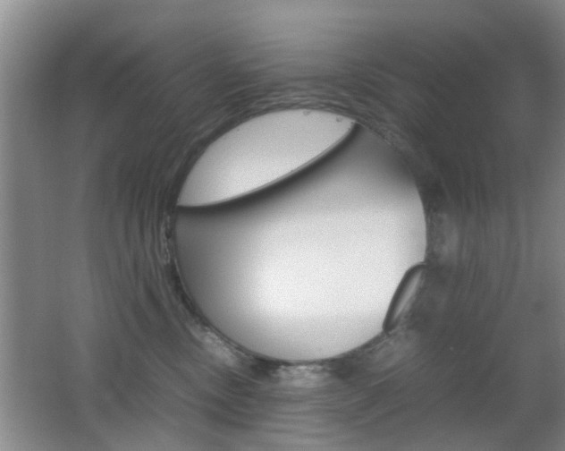 X0000062130378200512090957