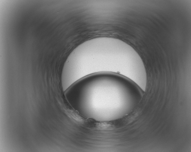 X0000062130380200512090957