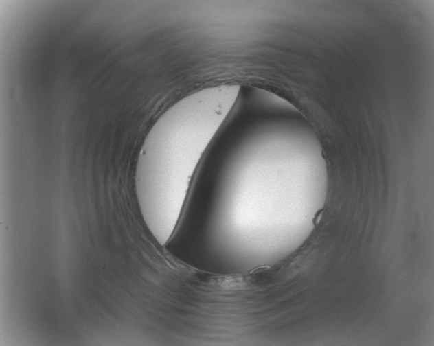 X0000062130384200512090957