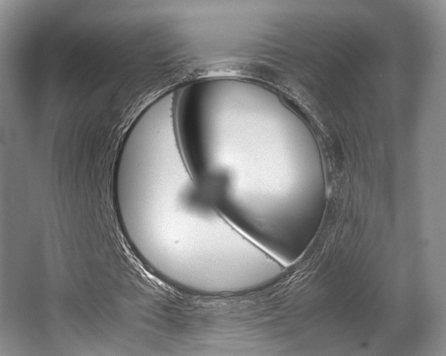 X0000062130385200512090956