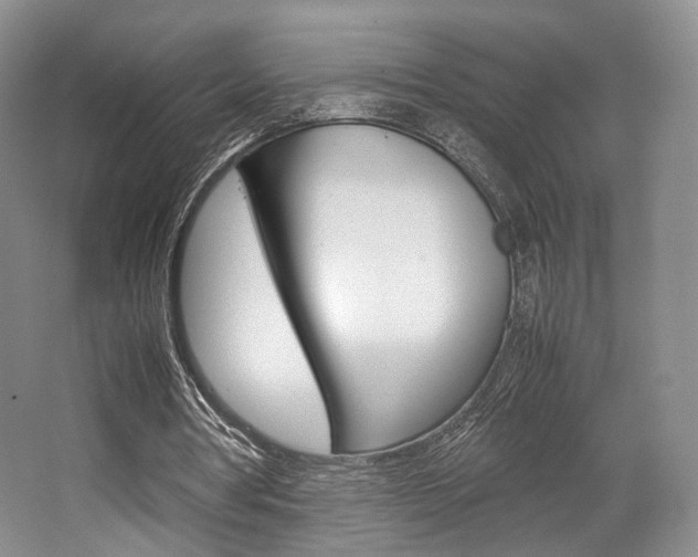 X0000062130386200512090956