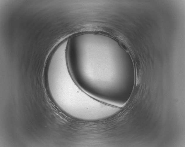 X0000062130387200512090956