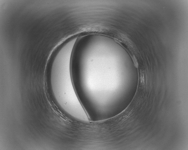 X0000062130388200512090956