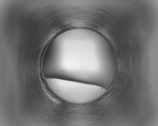 X0000062130390200512090956