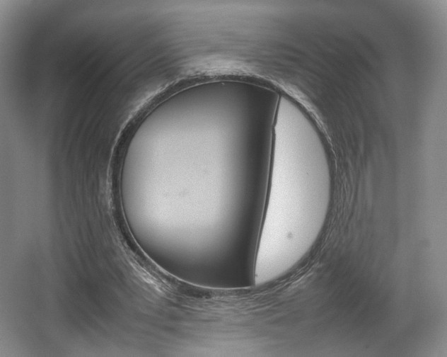 X0000062130391200512090956
