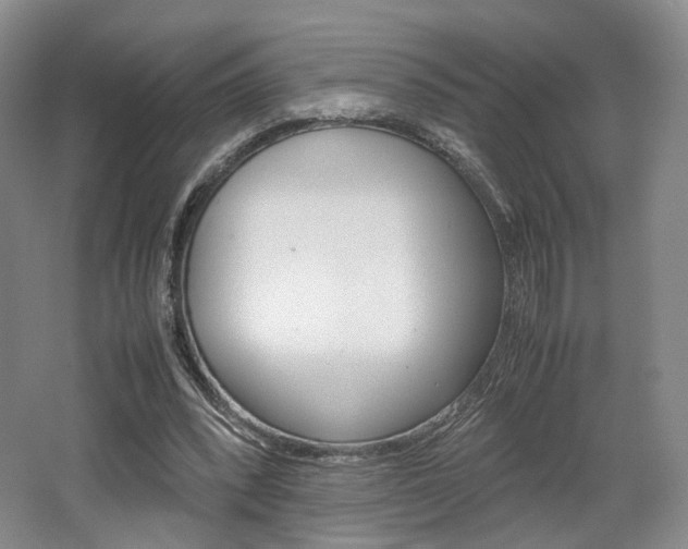 X0000062130392200512090956