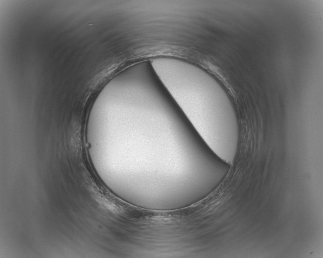 X0000062130394200512090956