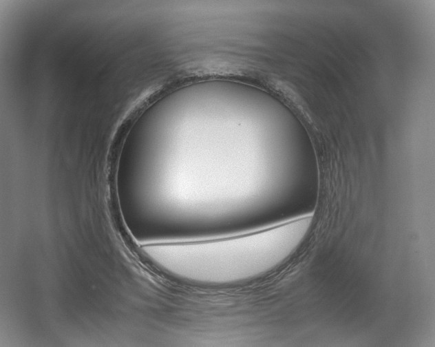 X0000062130395200512090956