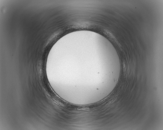 X0000062130396200512090956